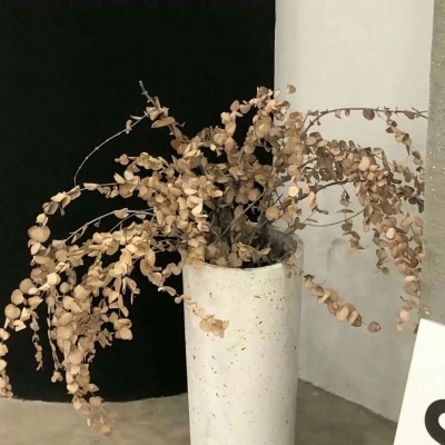 Furry数位绘画实用技巧兽圈社群